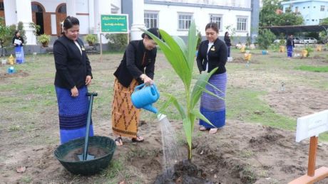 မွန်ပြည်နယ်တရားလွှတ်တော်တွင် သစ်ပင်စိုက်ပျိုးပွဲအခမ်းအနားကျင်းပ